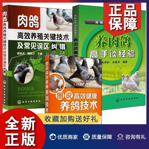 3册 肉鸽养殖场培训书籍 肉鸽饲养管理 肉鸽常见病诊治