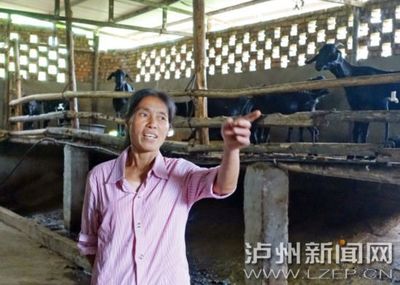 合江荔江镇:“菜鸟”变身“土专家” 职业培训让农民身价水涨船高